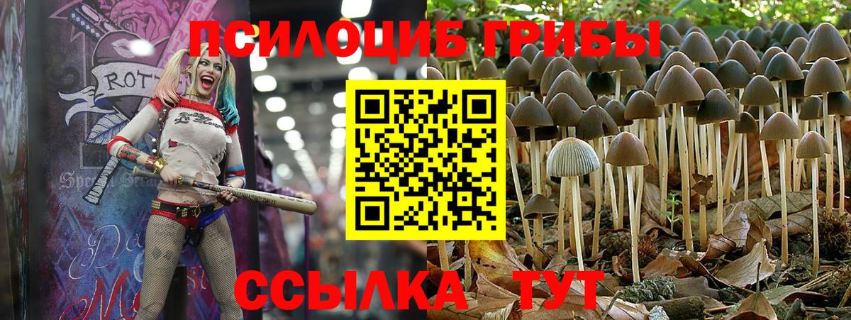 Псилоцибиновые грибы Magic Shrooms Заволжье