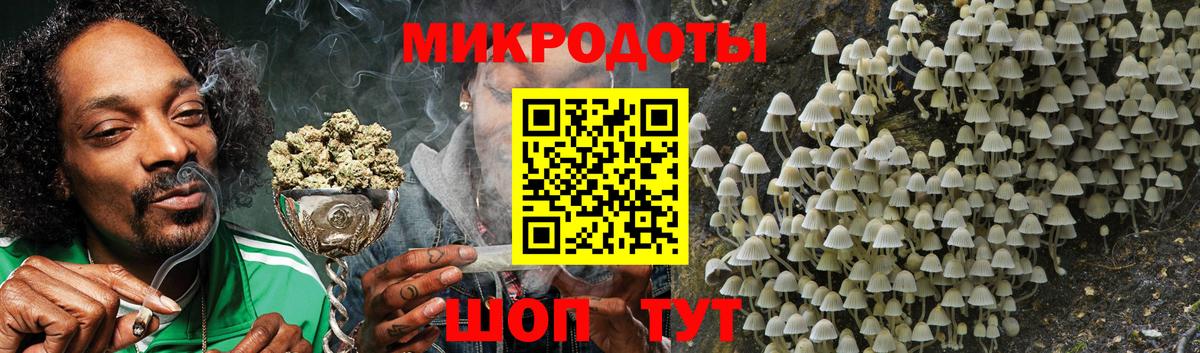 Галлюциногенные грибы прущие грибы  Вход с VPN  Заволжье 