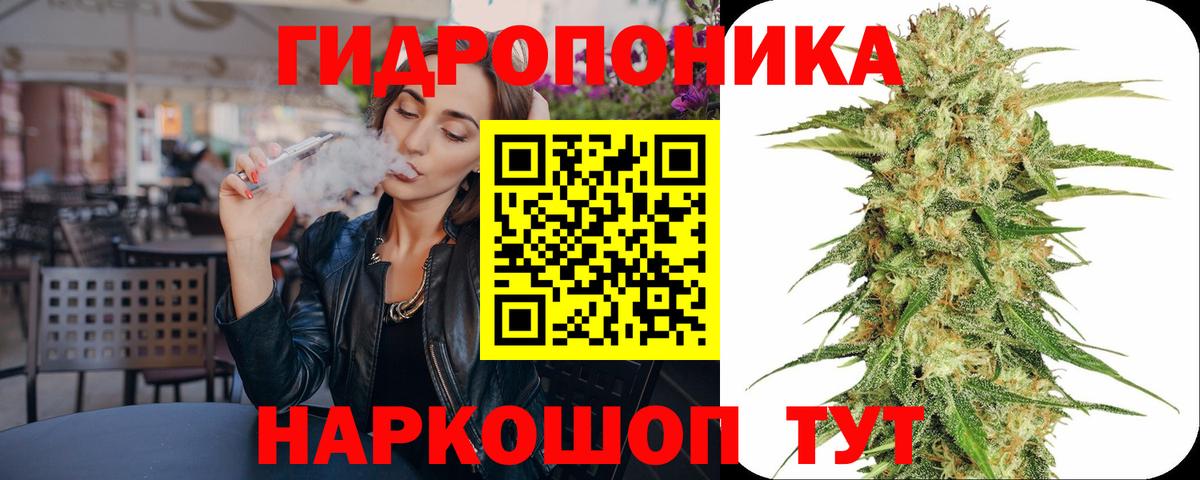 Заволжье  Конопля сатива  Вход с VPN  Бошки марихуана ГИДРОПОН 
